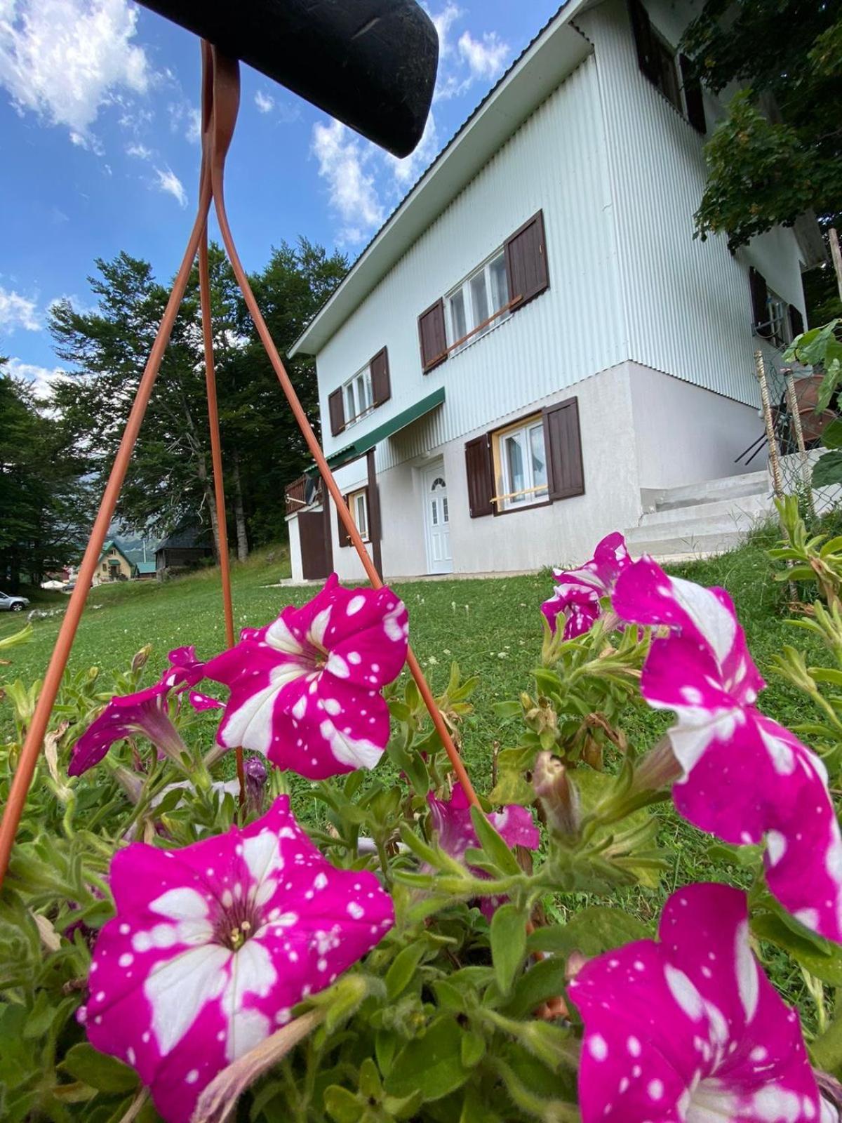 Apartments Marta Žabljak Εξωτερικό φωτογραφία
